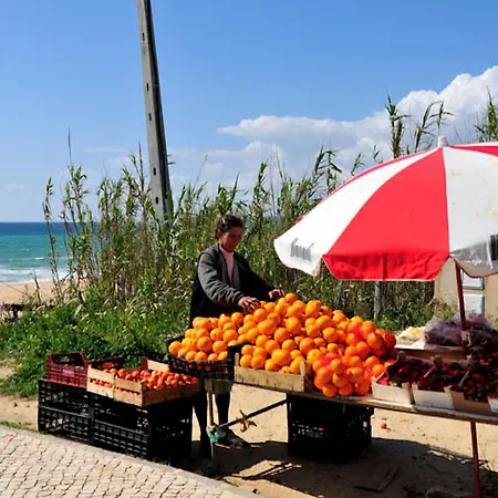 Quaint&peaceful 3 Bedrooms Mycenaean Private Pool&large Garden North Portugal Villa Barcelos