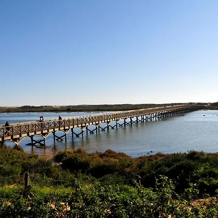 Villa Quaint&peaceful 3 Bedrooms Mycenaean Private Pool&large Garden North Portugal *