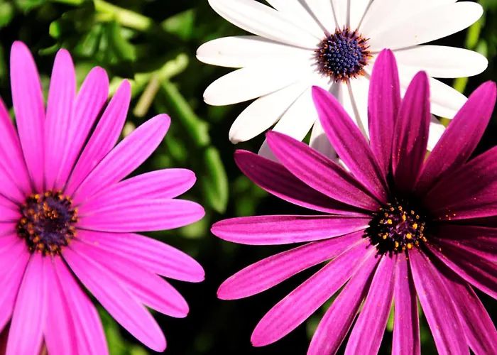 Quaint & Peaceful 3 Bedrooms Mycenaean Private Pool * Barcelos