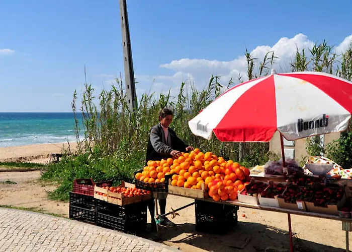 Quaint & Peaceful 3 Bedrooms Mycenaean Private Pool 别墅 巴塞卢什
