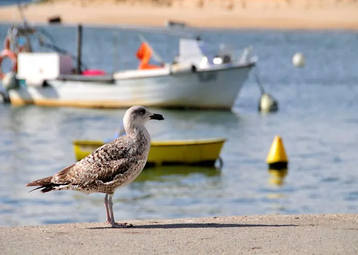 Quaint & Peaceful 3 Bedrooms Mycenaean Private Pool Villa Barcelos